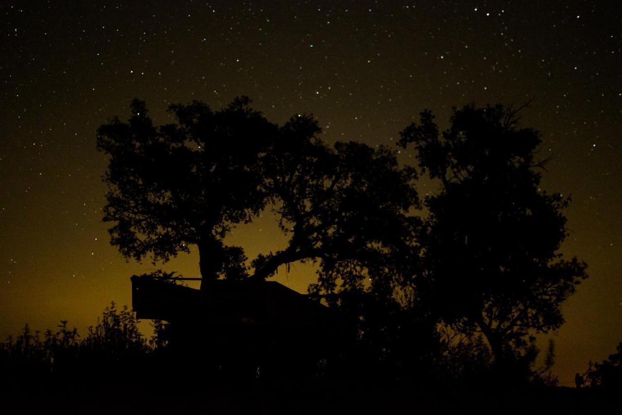 Herdade Do Rio Torto Portel Zewnętrze zdjęcie