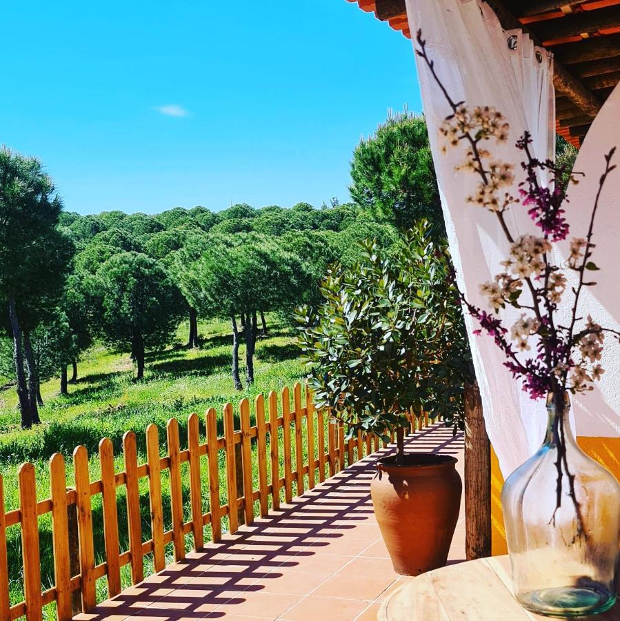 Herdade Do Rio Torto Portel Zewnętrze zdjęcie