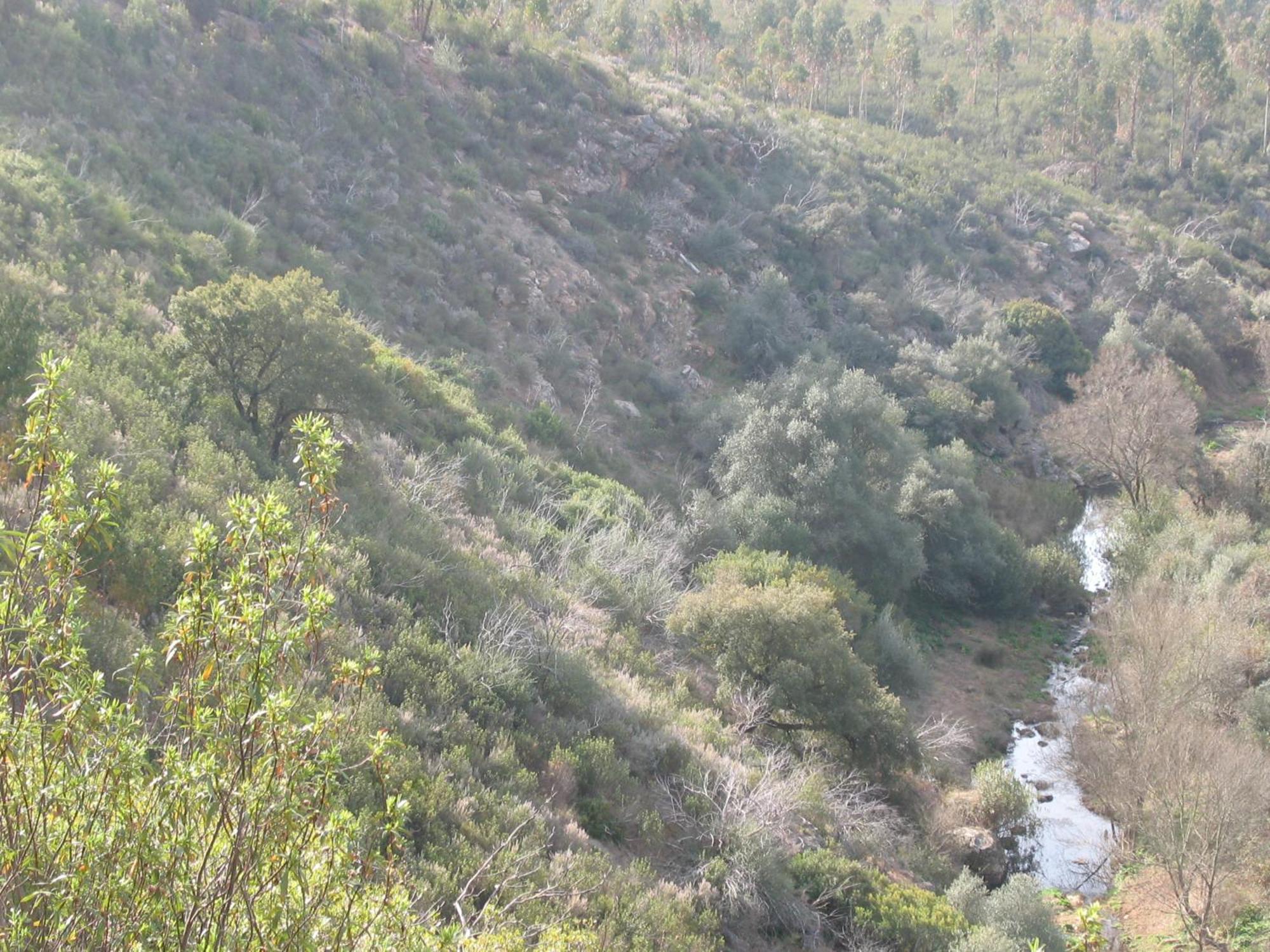 Herdade Do Rio Torto Portel Zewnętrze zdjęcie
