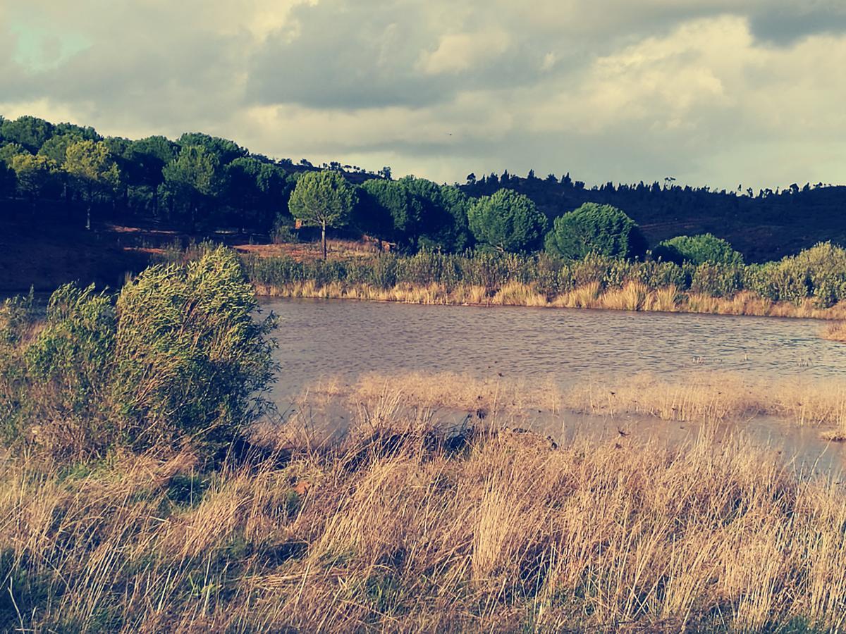 Herdade Do Rio Torto Portel Zewnętrze zdjęcie